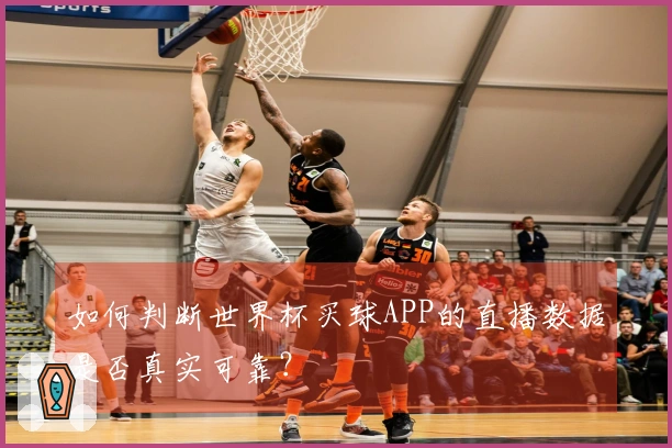 如何判断世界杯买球APP的直播数据是否真实可靠？